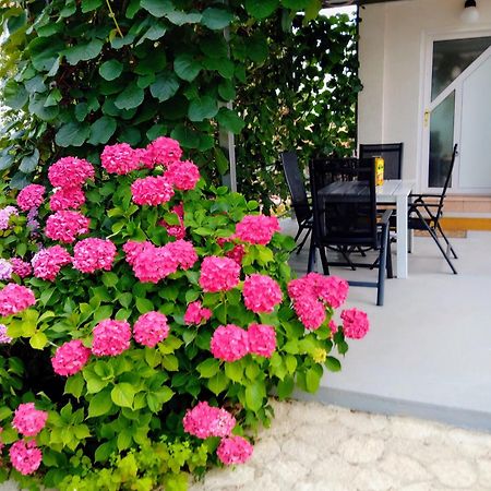 Apartments And Room Markovic Ровінсько-Село Екстер'єр фото