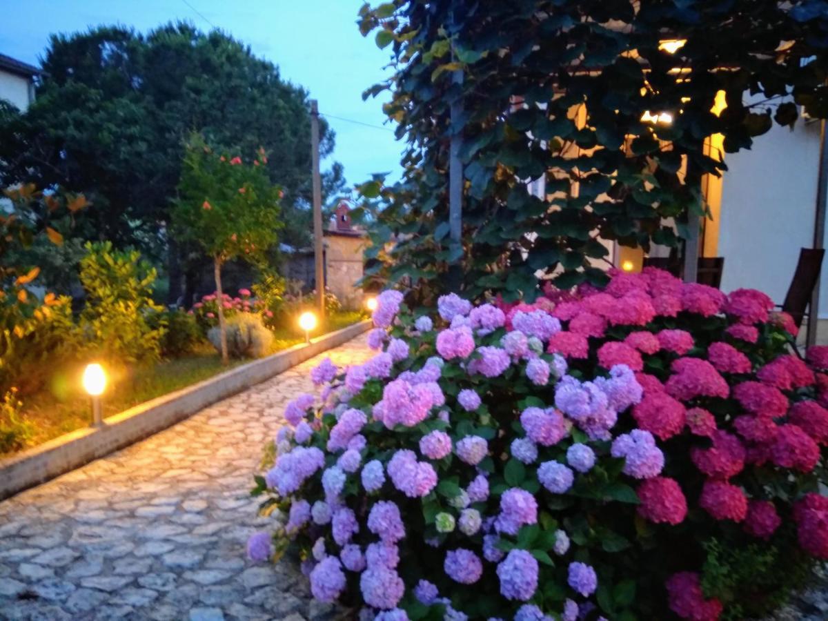 Apartments And Room Markovic Ровінсько-Село Екстер'єр фото