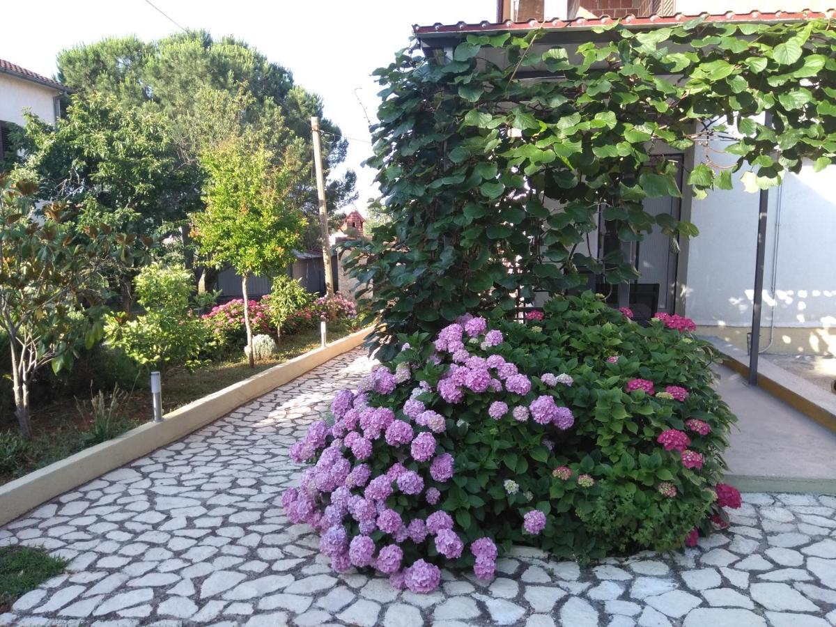 Apartments And Room Markovic Ровінсько-Село Екстер'єр фото